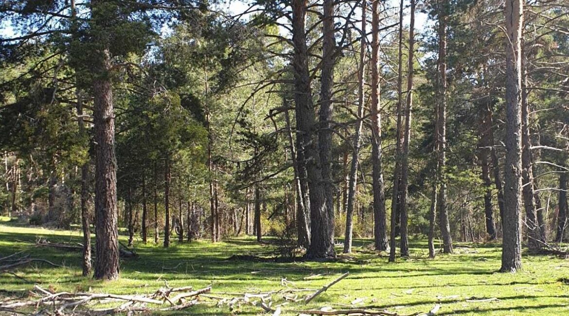 IMG 20220510 WA00072 1170x650 1