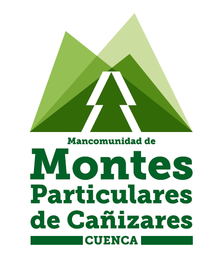 logo color nuevo