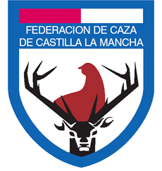 logo copia