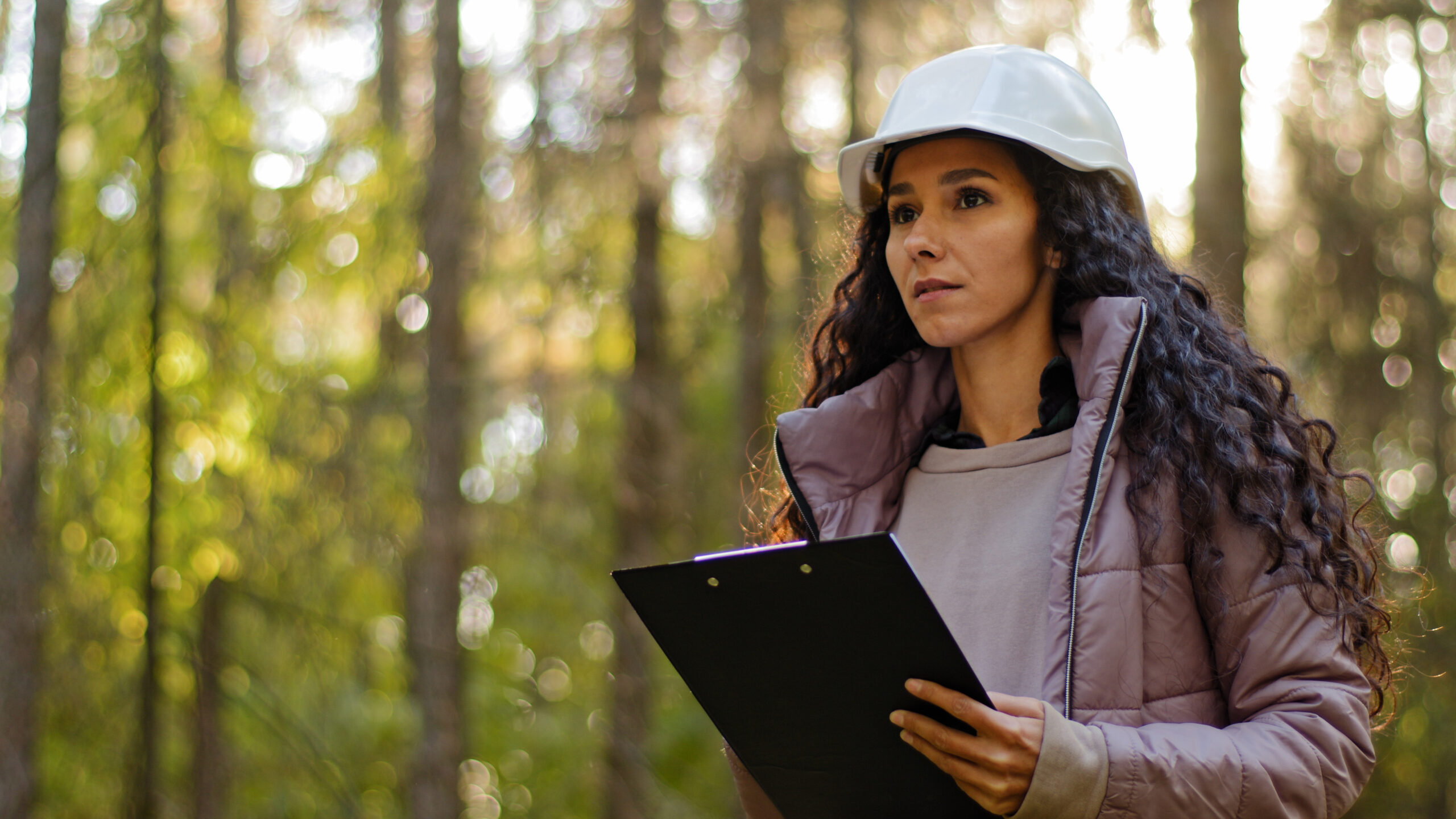 gestión forestal para que sirve la silvicultura