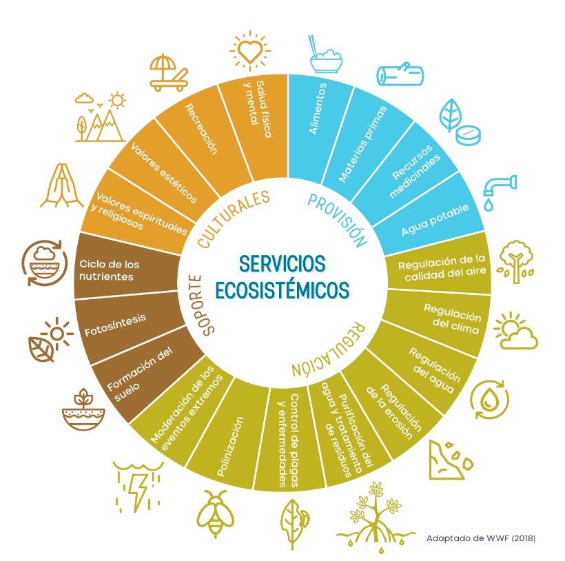 servicios ecosistemicos Servicios ecosistemicos