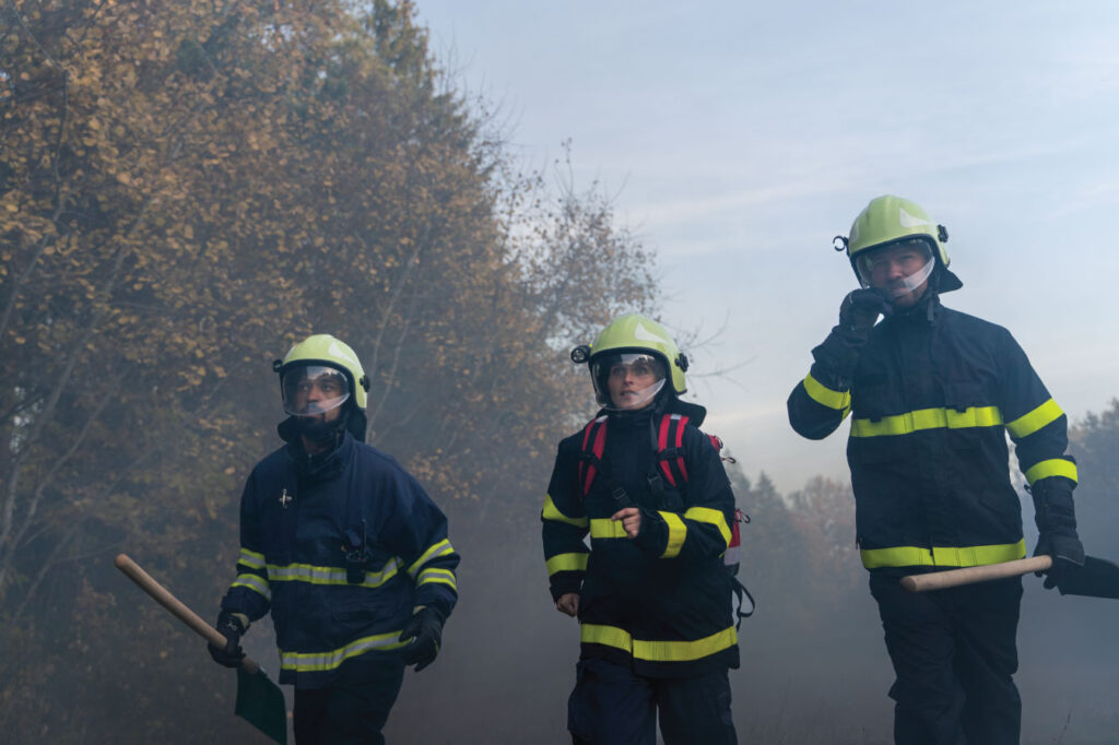 prevención de incendios forestales