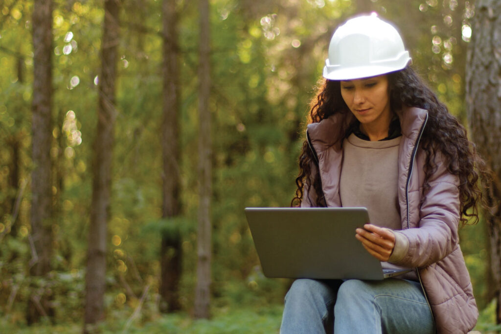 trabajos de silvicultura y reforestación