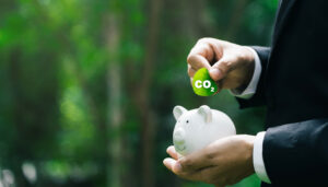 Conoce qué es un crédito de carbono
