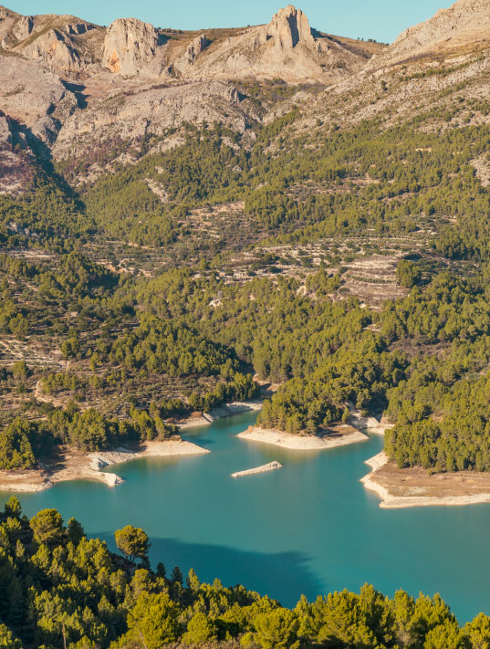 gestión forestal en alicante
