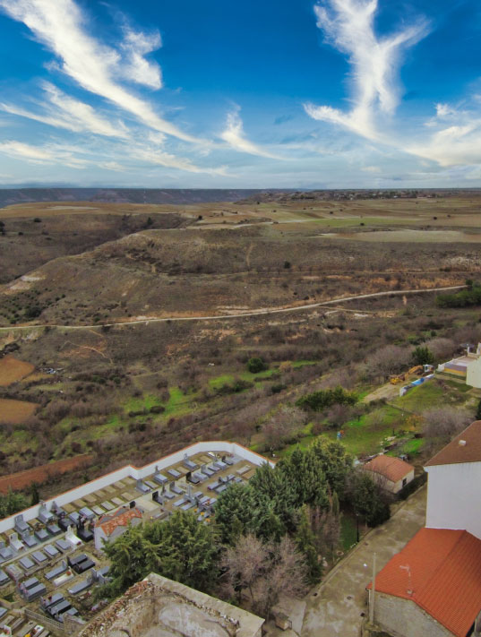 gestión forestal en Guadalajara