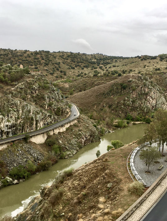 gestión forestal en toledo