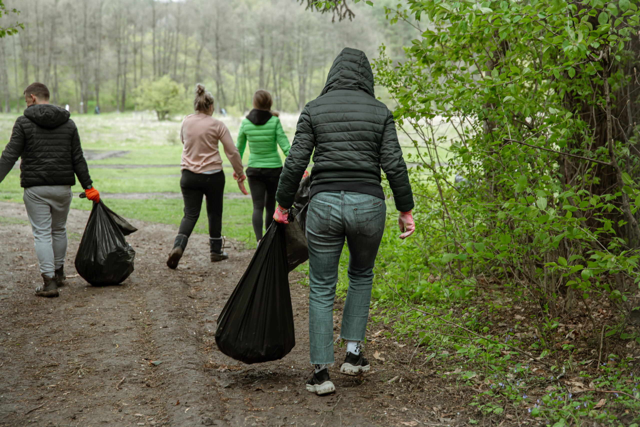 Agrupaciones de propietarios de bosques