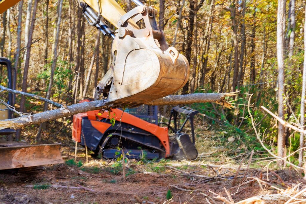 with help of a tractor builder uproots trees at fo 2023 11 27 05 18 15 utc with help of a tractor builder uproots trees at fo 2023 11 27 05 18 15 utc