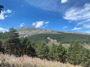 Vistas de Valverde de los Arroyos WhatsApp Image 2025 06 26 at 16.06.44 (5)